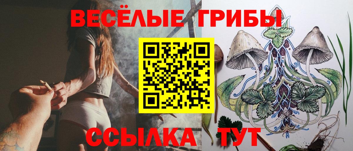 Галлюциногенные грибы Cubensis Фрязино